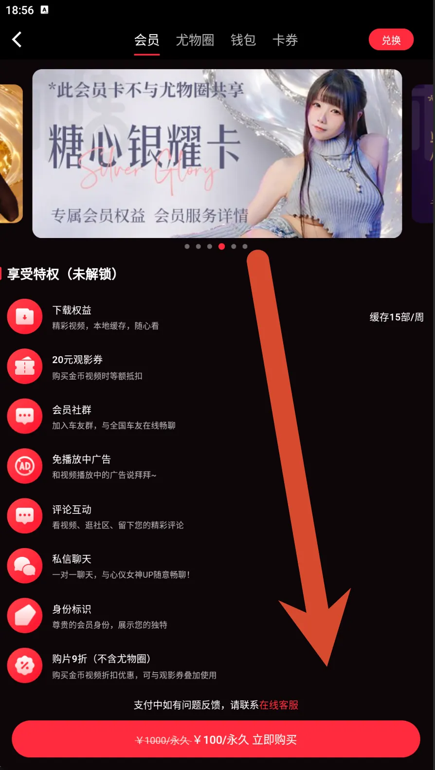 糖心银耀卡会员价格界面示例