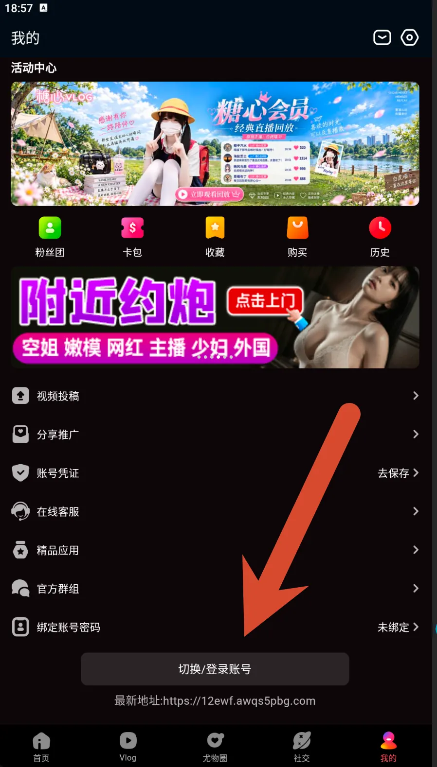 糖心Vlog设置与登录入口界面示例