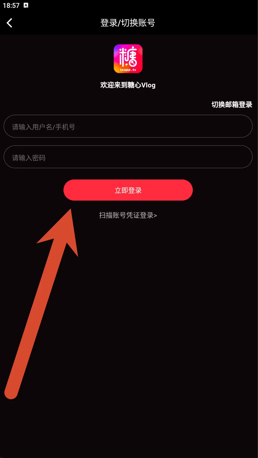 糖心Vlog账号密码登录界面示例