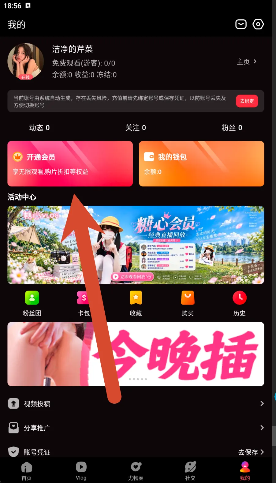 糖心Vlog个人中心会员与钱包界面示例