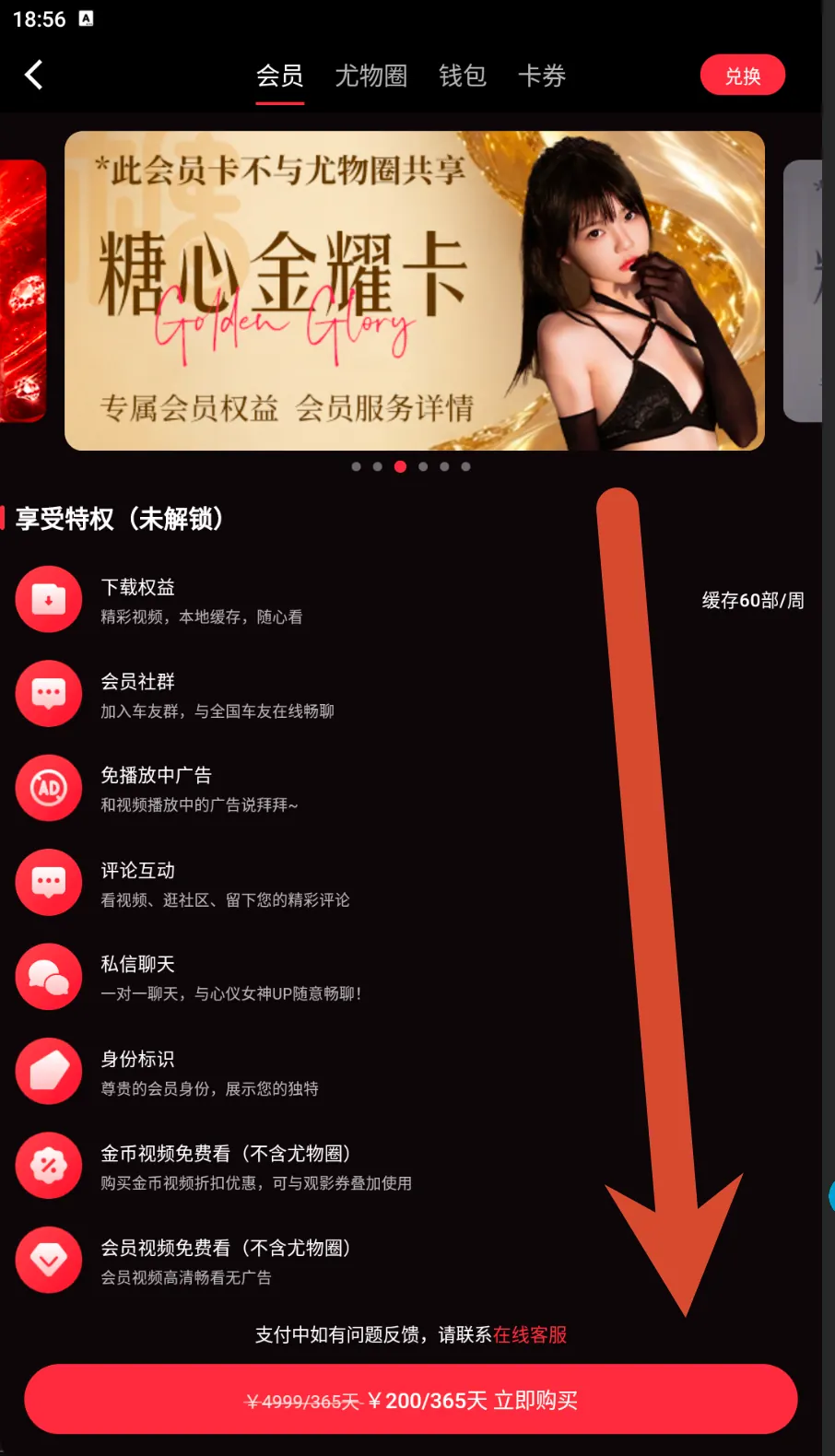 糖心金耀卡会员价格界面示例